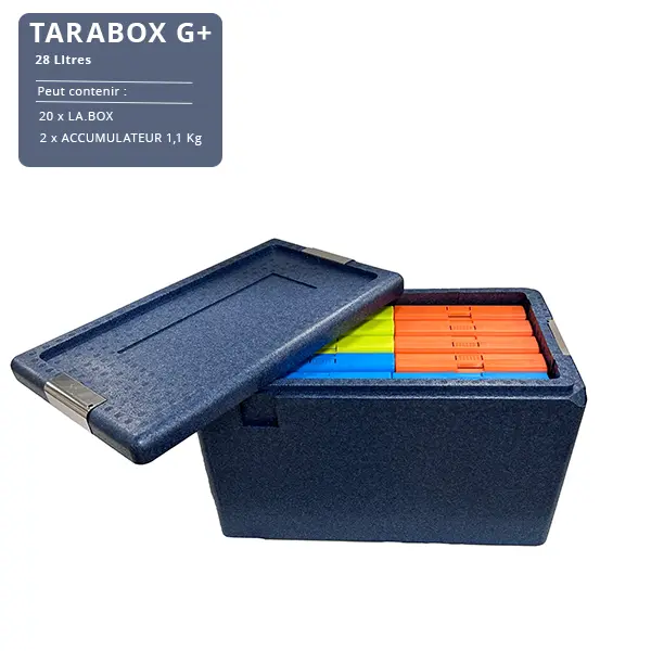 TARABOX G+ + contenu