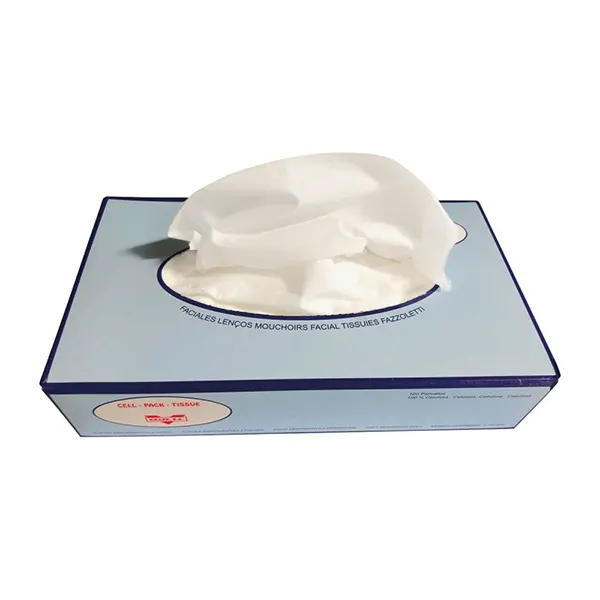 Boîte de mouchoirs en papier pure ouate de cellulose odil-shop.fr